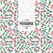 PATAGONIA - herbal tea. Br, ing, Identit, Design, and Graphic Design project by Carolina Krieger - 07.01.2015