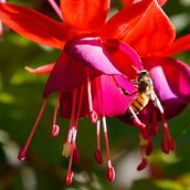 Naturaleza. Un proyecto de Fotografía y Post-producción fotográfica		 de Vanessa Salas - 02.07.2015