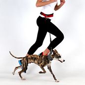 Correa para correr con el perro. Design Magazine BY Hector Serrano. Un proyecto de Diseño de producto de Joaquin Lamarca Oliveira - 12.07.2015