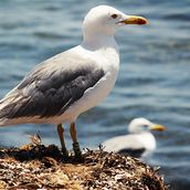 libertad. Un proyecto de Fotografía, Marketing y Post-producción fotográfica		 de fahd aghribi - 16.07.2015