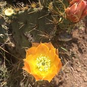 FOTOGRAFÍA 2 COLORES DE MÉXICO. Un proyecto de Fotografía de Aideé Constantino - 21.07.2015