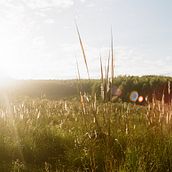 Fotografía Analógica. Projekt z dziedziny Fotografia użytkownika Macarena Cuinat - 22.07.2015