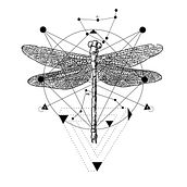 Dragonfly. Design project by Srta.Baron - 07.24.2015