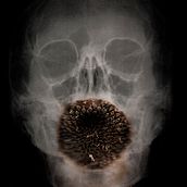 Naturaleza muerta. Photograph project by Alejandro Moreno Paramio - 11.15.2014