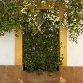 Cordo_be. Un progetto di Fotografia di Nacho Bermón - 25.08.2015