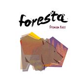 Foresta Premium Beer. 3D, Design, Product Design, Graphic Design, Traditional illustration, and Advertising project by Jose Perona Navarro - 08.26.2015