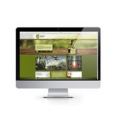 Azzayt Web site. Art Direction, and Web Design project by Kiku López - 08.27.2015