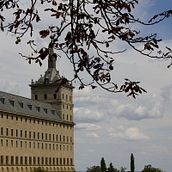 Monasterio de San Lorenzo del Escorial.. Photograph project by conchigil - 08.31.2015