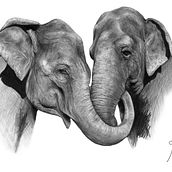 Elephant love medley. Een project van Traditionele illustratie y  Beeldende kunst van Joan del Bas Almendro - 01.09.2015