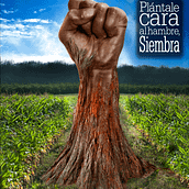 Últimos carteles realizados. Graphic Design project by Rafael Miranda - 09.02.2015