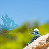 Sailor Lizard. Photograph, and Traditional illustration project by Iván Montenys - 09.12.2015