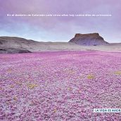 Creatividad gráfica. Un proyecto de Consultoría creativa, Dirección de arte, Diseño, Diseño gráfico y Publicidad de Javier Miguel López - 15.09.2015
