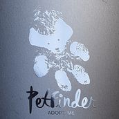 PetFinder. Br, ing, Identit, and Graphic Design project by Ingrida Vilkas - 09.15.2015