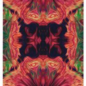 Psychedelic Experiences 1. Multimedia project by Ana Clara Podesta - 09.20.2015