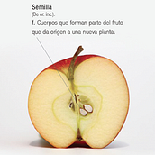 Publicidad. Design, Design gráfico, e Publicidade projeto de Hyai Ippolito Bastidas - 20.09.2015
