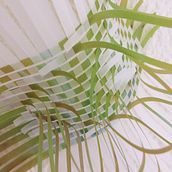 Floral impressions Ein Projekt aus dem Bereich Fotografie, Beleuchtungsdesign, Innendesign, Skulptur, Events und Multimedia von Montse Giralt Sos - 16.12.2010