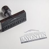 Propuestas logo Bayontin. Br, ing, Identit, and Motion Graphics project by Carlos Mayoral Caballero - 10.19.2015