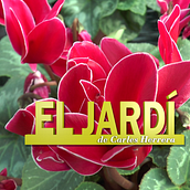 El jardí de Carles Herrera - 8Tv . Fotografie Post-producție și TV de Jordi Cortés Picas - 10.22.2015
