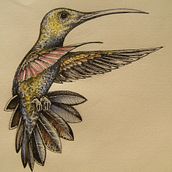 Apparent Animalia. Un proyecto de Ilustración tradicional y Pintura de Santiago Gomez Cordente - 27.10.2015