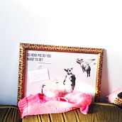 So how Pig do you want to be?. Direção de arte e Ilustração tradicional projeto de Cristina Font - 10.11.2015