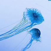 Web 16:9. Un progetto di Web design di Sara Navarro - 29.06.2015