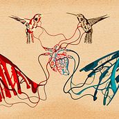 Corazón Siamés. Traditional illustration, and Vector Illustration project by Marcelo Espinosa - 11.16.2015