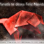Felicitaciones de papiroflexia. Design, Information Design, Product Design, Editorial Design, Graphic Design, Photograph, Marketing, Packaging, and Advertising project by Oscar Aceves Gallardo - 11.05.2015