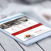 Web Protech. Web Development project by Alex - 06.10.2015