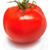 Dibujo tomate. Een project van Grafisch ontwerp y Traditionele illustratie van Alex Goienetxea - 12.04.2013