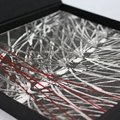 Geometría natural. Fine Arts, Photograph, and Screen Printing project by Marta Lopez - 11.20.2015