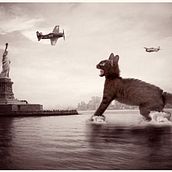 Sueño de gatos. Photograph, and Traditional illustration project by José Alberto González Vega - 11.22.2015