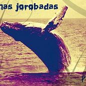 Ballenas jorobadas, que no jodidas. Un projet de Illustration traditionnelle de Juan Luis PRÁXEDES - 22.01.2013