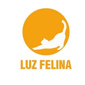 Luz felina. Br, ing & Identit project by Nerea Suárez - 12.01.2015