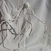 Araneae. Un progetto di Belle arti e Scultura di Ana López - 22.09.2015