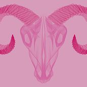 The Neon Animals. Design, Graphic Design, and Traditional illustration project by Bárbara Araque Márquez - 12.04.2015