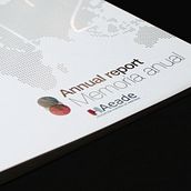 Annual report 2012 - AEADE. Graphic Design project by Ahinoa Erlanz Parada - 12.05.2015