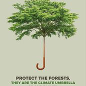WWF International. Art Direction, Design, Graphic Design, and Advertising project by Jose Llopis - 12.08.2015