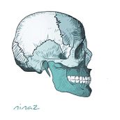 Ilustración calavera. Graphic Design, and Traditional illustration project by U Pagoaga - 12.08.2015