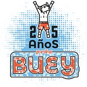 Camiseta peña Buey. Projekt z dziedziny Projektowanie graficzne użytkownika David González Gallego - 13.12.2015