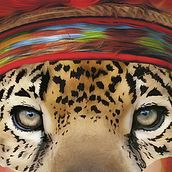 Secoya. Een project van  Art direction y Traditionele illustratie van Flavio Hugo Vilan Landeiro - 14.12.2015