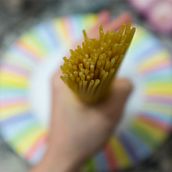 Gastro. Photograph project by luahpuah - 12.21.2015