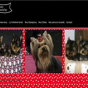 Chiot Yorkshire. Web Development, Web Design, Marketing, and UX / UI project by Antonio M. López López - 06.27.2014