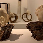 Seres contradictorios. Un projet de Sculpture de Ruth Aquino Calcaño - 12.05.2015