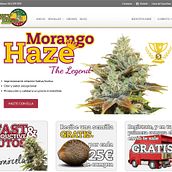 Family Ganjah Seeds Bank. Web Development project by Juan Bares - 01.02.2016