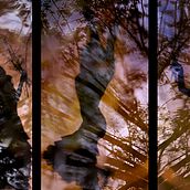Solea en el bosque. Un proyecto de Dirección de arte, Escenografía y Vídeo de David Rey - 07.01.2016