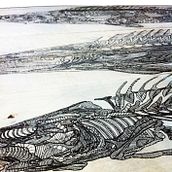 Peces sobre madera. Fine Arts, and Traditional illustration project by María Ester Izquierdo Guillamot - 01.08.2016