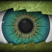 Ojo/Hoja. 3D project by Juan Moreno - 01.15.2016