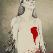 Ilustración Cisne Negro. Traditional illustration project by SE-IS - 01.17.2016