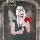 New Creations. Un proyecto de Diseño gráfico de Mariajosé Pina - 19.01.2016