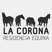 La Corona. Br, ing & Identit project by Ricard Gispert Schmidt - 01.20.2016